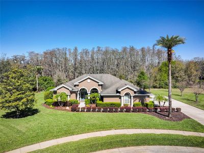 2659 Keystone Springs Rd, Tarpon Springs, FL, 34688