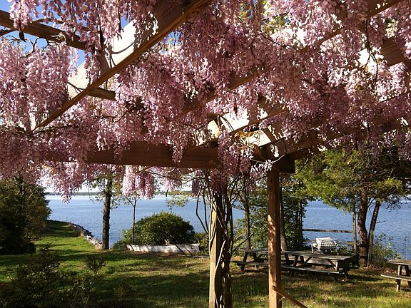 River view from deck