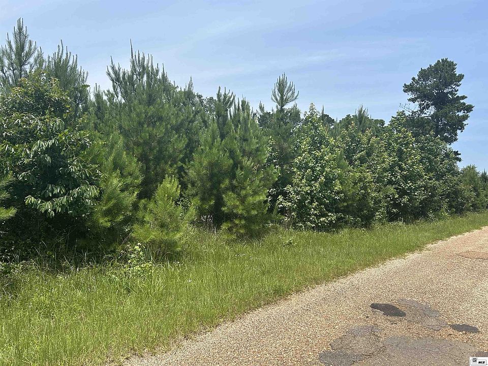 2nd image of 0 Parish Line Rd