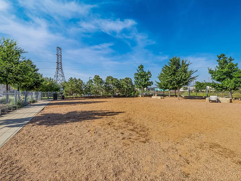 Expansive Dog Park
