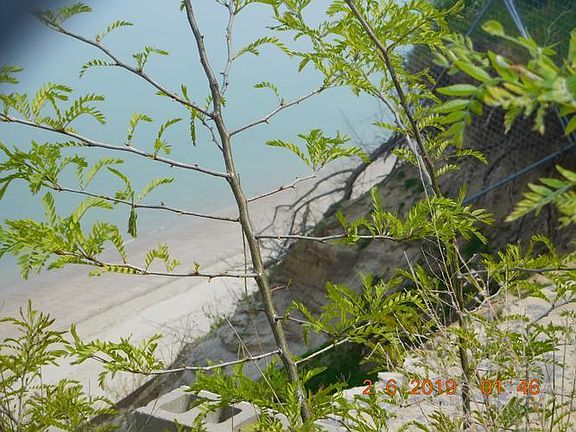 land