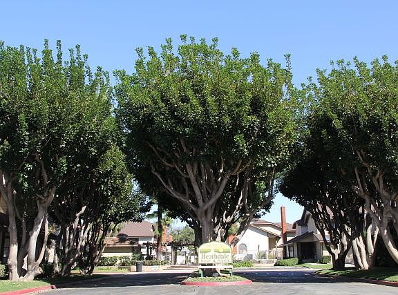 4th image of 563 W Puente St Unit 3