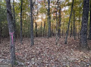 1355 Hunter Dr, Ranger, GA 30734