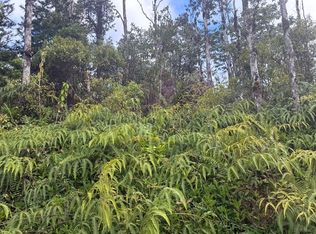 14-3516 Church Rd Lot 873, Pahoa, HI 96778