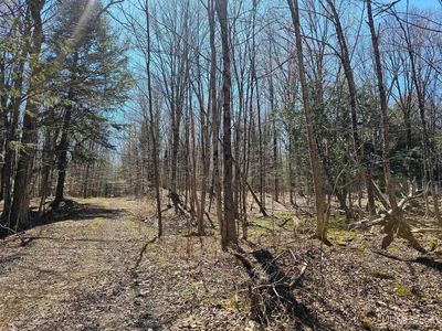 Lots 9th St, Manistique, MI, 49854