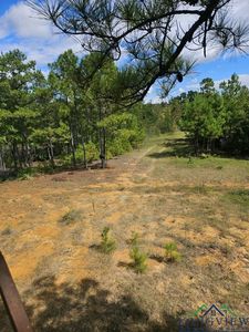 Orange Rd, Big Sandy, TX, 75755