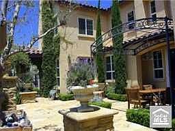 Amazing Back Yard with Fireplace, BBQ, olive, lemon & orange trees