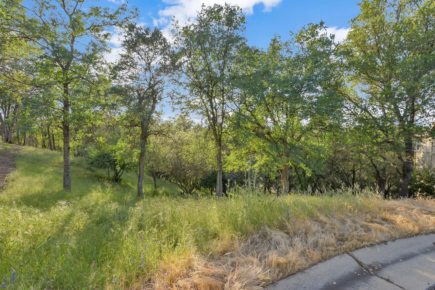 416 Albasio Ct, Angels Camp, CA 95222 Zillow