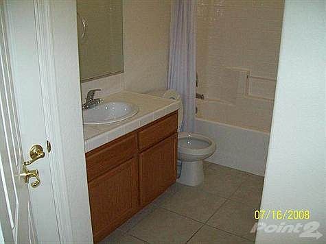 Picture 241