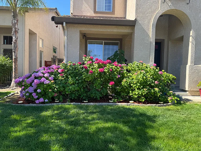 2036 Eucalyptus Way — Photo 20