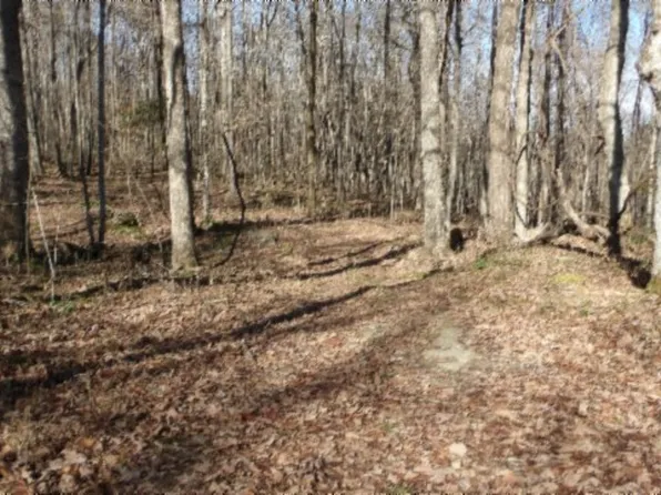 0 Old Stephens Rd, Jamestown, TN 38556