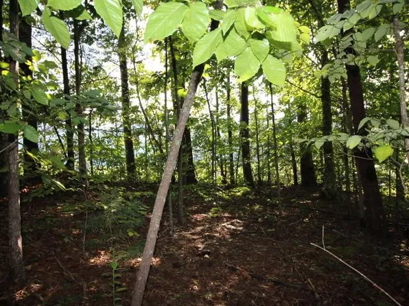 523 Rudd Hollow Rd, Townsend, TN 37882