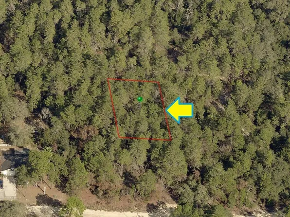 2713 Hillery St, Inverness, FL 34452