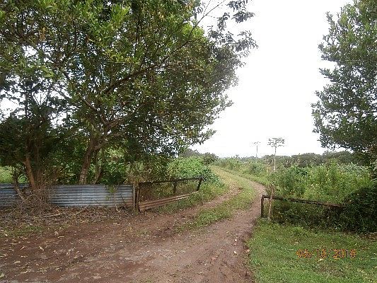 2nd image of LOT 20 Lot 20