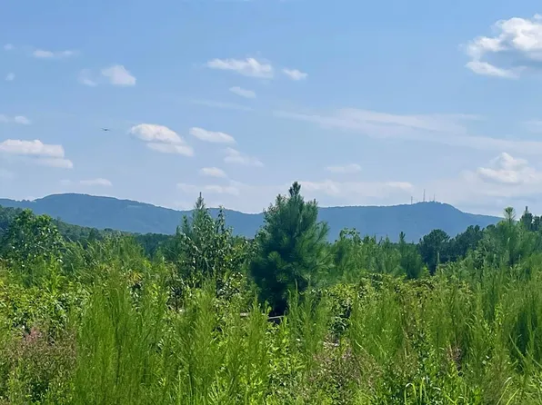 768 Bryant Rd, Morganton, NC 28655