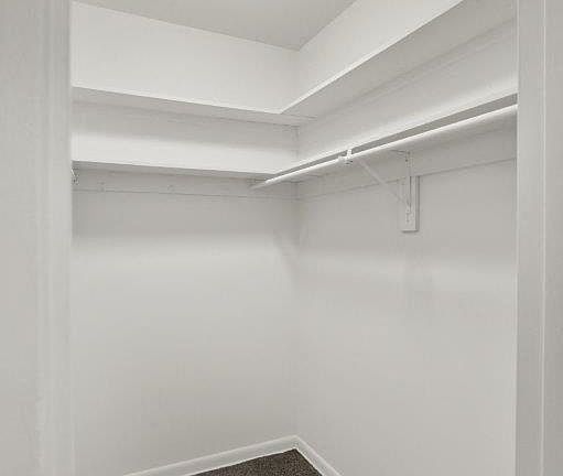 Oversized Primary Closet with Built in Shelves