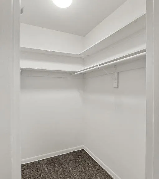 Oversized Primary Closet with Built in Shelves