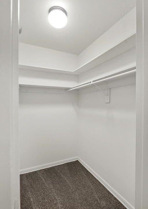 Oversized Primary Closet with Built in Shelves