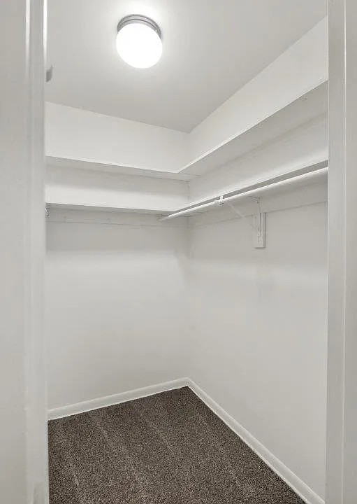 Oversized Primary Closet with Built in Shelves