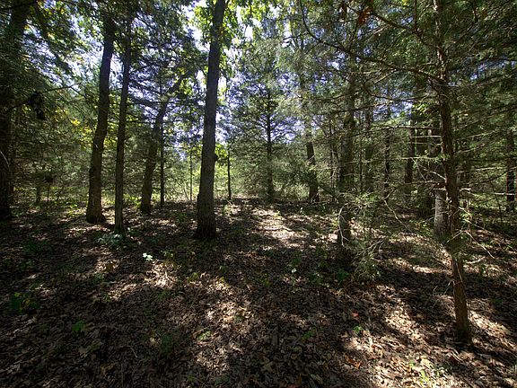 2nd image of Tract 3&4 Simpson Rd