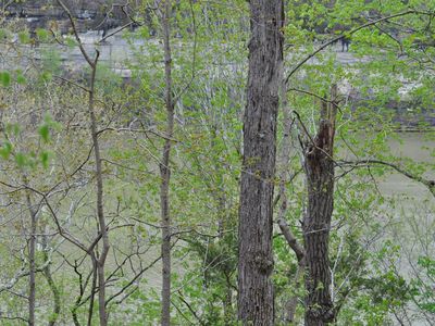 8 N Fork Rd, Canada, KY, 41519