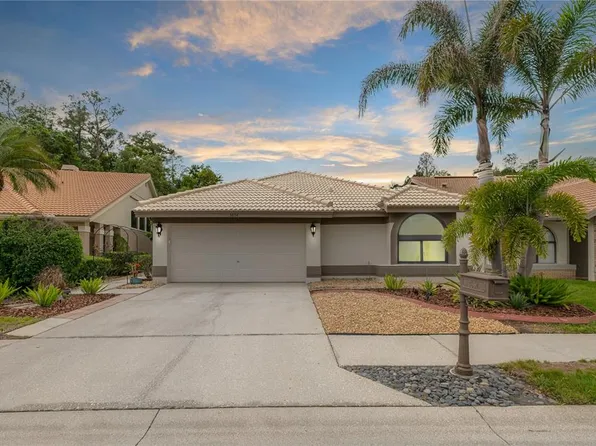 3654 Darston St, Palm Harbor, FL 34685