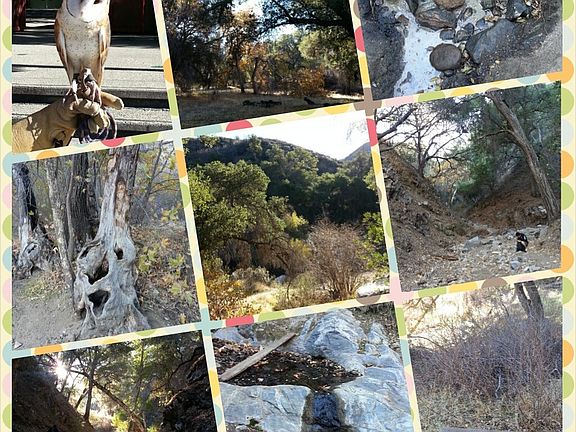 3rd image of 19000 Placerita Canyon