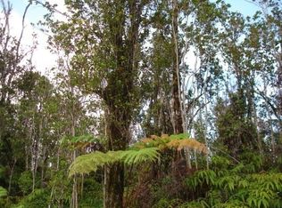 Lot 6, Volcano, HI 96785