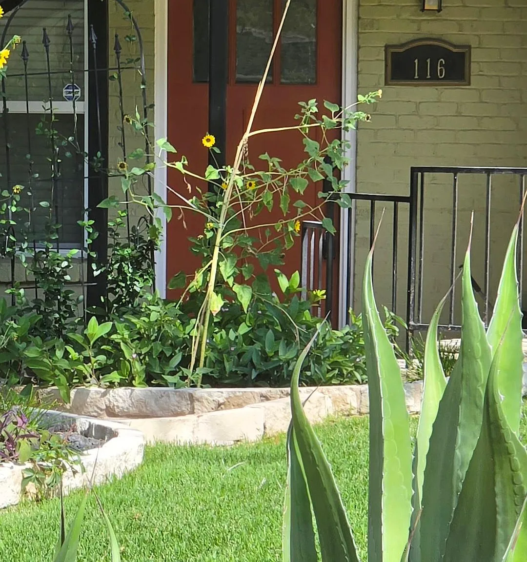 1 bed, 1.0 bath, 573 sqft, $1,790 — Photo 2