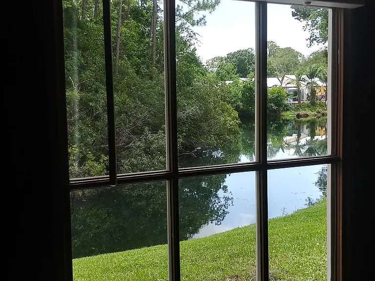 Great room back door view of the pond.
