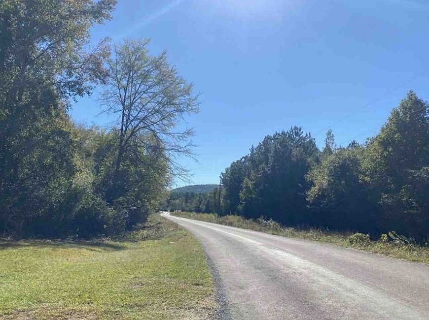 Exterior Neighborhood (street photo)