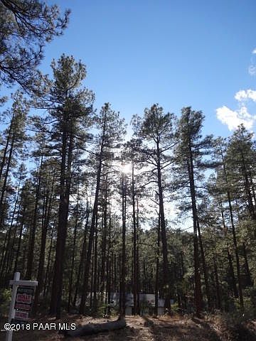 Dearing Park 1.3 Acre Lot