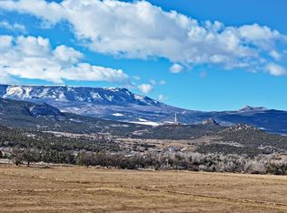 12482-54 7/10 Rd, Collbran, CO 81624