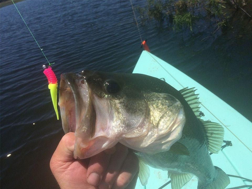 Tbd Fm 56, Kopperl, TX 76652 Zillow