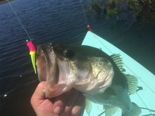 56 Fm, Kopperl, TX 76652