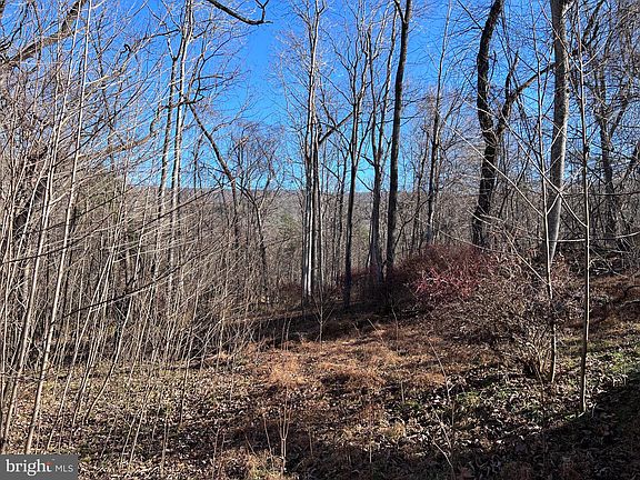 5th image of Amberwood Ln