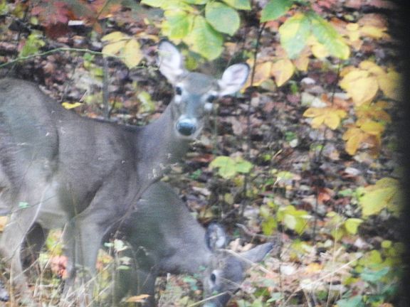 HELLO!PLEASE LOVE US TOO!