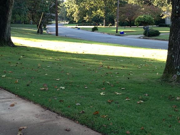 Quiet, Safe Neighborhood