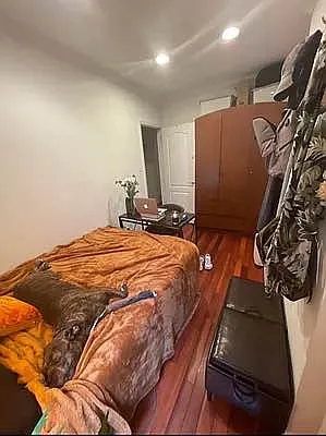 Rented by CNYC Apartments | media 19