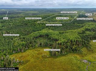 40 acres on FR 1769, Cable, WI 54821