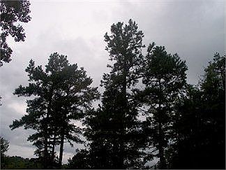 4th image of 17103 E Hwy. 248
