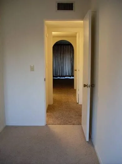 Space! Space! Space! with beautiful, arched doorways and other details.