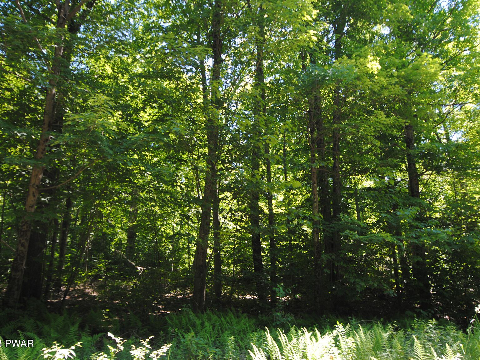 Duck Harbor Rd, Equinunk, PA 18417 MLS PW231786 Zillow