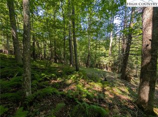 TBD Sharon Sweeney Road, Crumpler, NC 28617