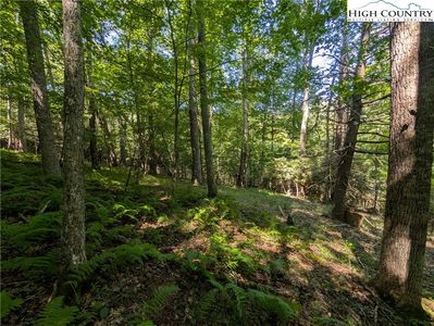 TBD Sharon Sweeney Road, Crumpler, NC, 28617