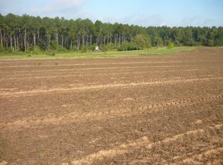 91 Acre Hwy #134, Elba, AL 36323