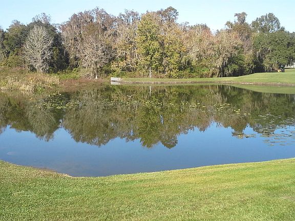 View from your Florida room