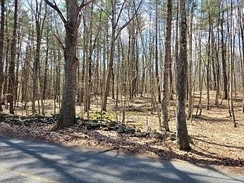 3rd image of LOT 2 Daniels Rd