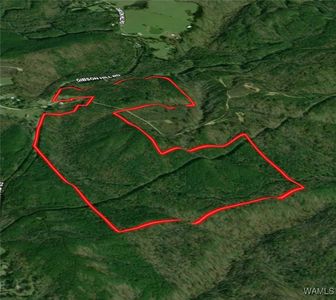0 County Road 83, Oakman, AL, 35579