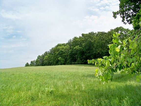 BACK MEADOW